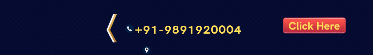 Dwarka Real Estate-Next-Logo